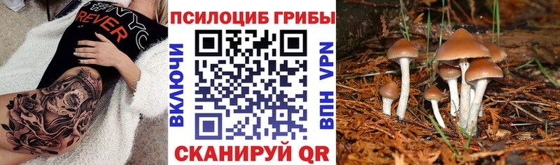 Галлюциногенные грибы Psilocybe  купить   Горнозаводск 